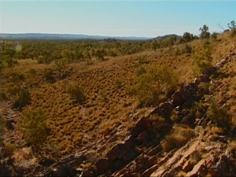 spinifex_view.jpg